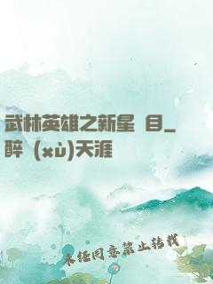 武林英雄之新星奪目