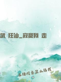 武極狂仙