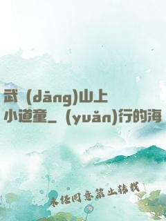 武當(dāng)山上小道童