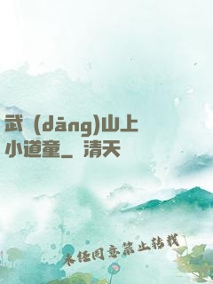 武當(dāng)山上小道童