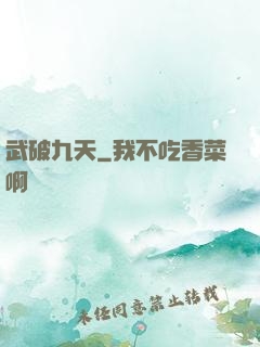 武破九天