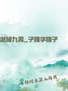 武破九霄