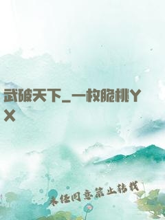 武破天下