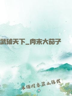 武破天下