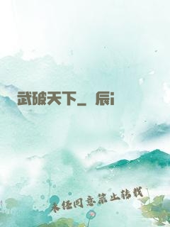 武破天下