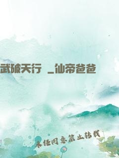 武破天行記