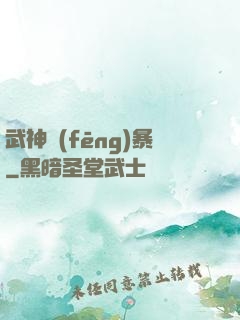 武神風(fēng)暴