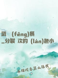 武裝風(fēng)暴