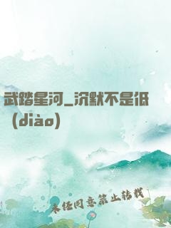 武踏星河