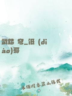 武踏蒼穹