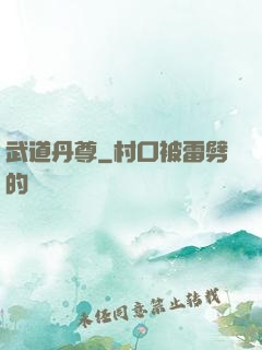 武道丹尊