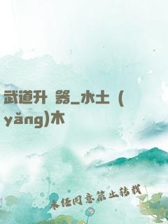 武道升級器