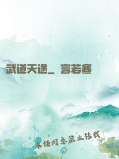 武道天途