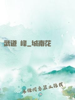 武道巔峰