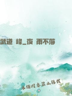 武道巔峰