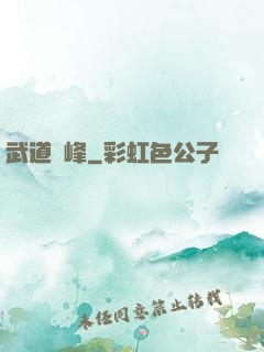 武道巔峰