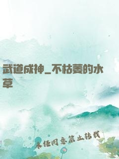 武道成神
