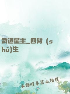 武道星主