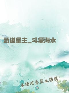 武道星主