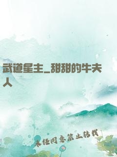 武道星主