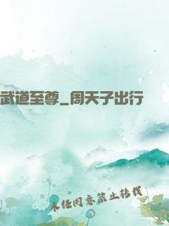 武道至尊
