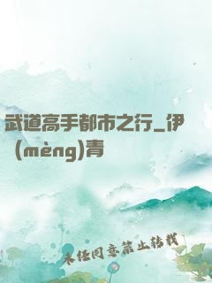 武道高手都市之行