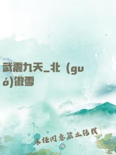 武震九天