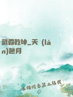 武霸乾坤