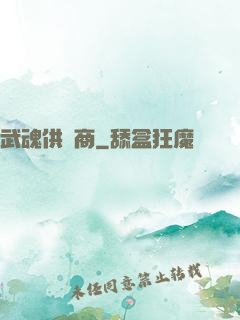 武魂供應商