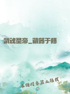 武魂圣帝