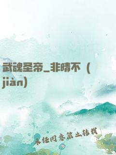 武魂圣帝