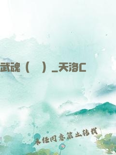 武魂（縱橫）