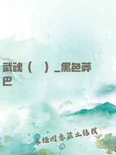 武魂（縱橫）