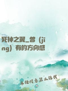 死神之翼
