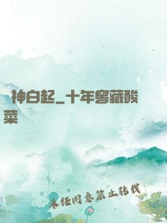 殺神白起