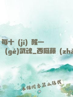每十級(jí)覺醒一個(gè)武魂