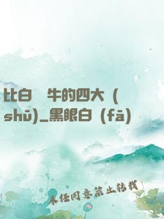 比白潔還牛的四大書(shū)