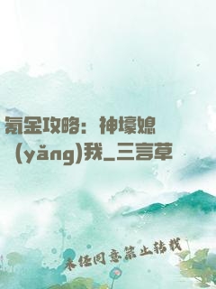 氪金攻略：神壕媳婦請養(yǎng)我