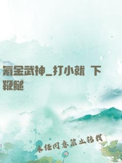氪金武神