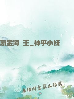 氪金海盜王