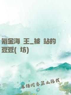 氪金海盜王