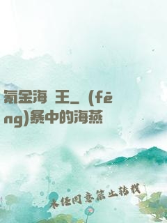 氪金海盜王