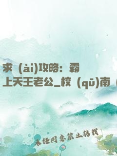 求愛(ài)攻略：霸上天王老公
