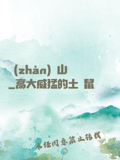 決戰(zhàn)華山巔