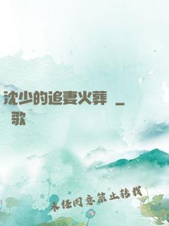 沈少的追妻火葬場