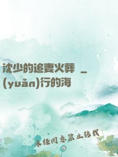 沈少的追妻火葬場