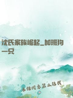 沈氏家族崛起