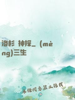 洛杉磯神探