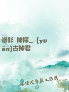 洛杉磯神探