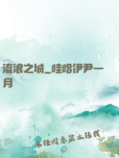 流浪之城